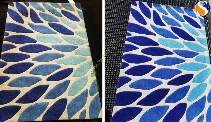 Before and after cleaning a blue leaf-pattern area rug